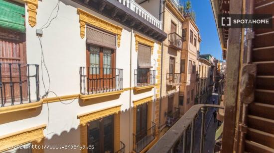 Se alquila habitación en piso compartido en Granada - GRANADA