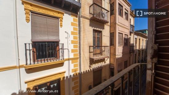 Se alquila habitación en piso compartido en Granada - GRANADA