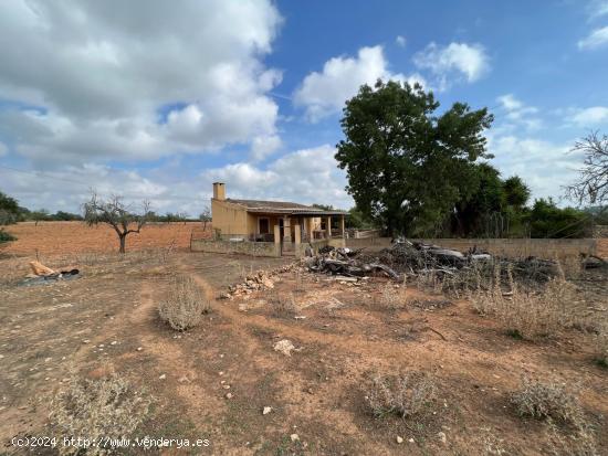 TERRENO EN SINEU PARA CONSTRUIR VIVIENDA DE 800 m2 - BALEARES