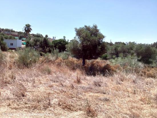 PARCELA EN URBANIZACIÓN SAN BENITO ABAD, CASTIBLANCO DE LOS ARROYOS, SEVILLA. - SEVILLA