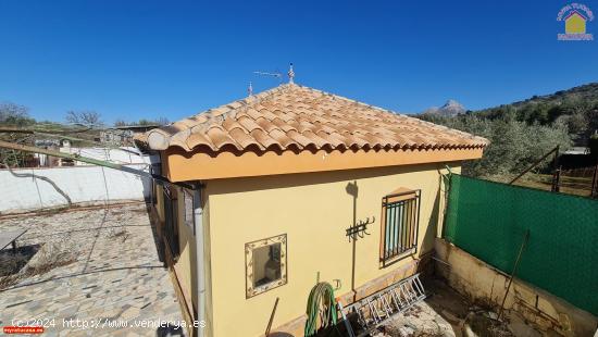 Finca en Güevéjar, AGUA potable y luz eléctrica y DOS pozos, piscina, cultivo de olivos. - GRANAD