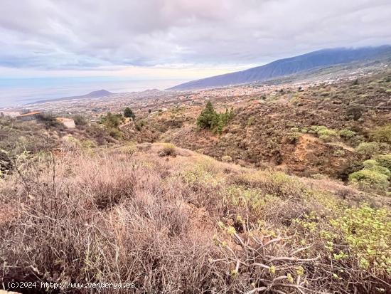 VENTA DE FINCA RÚSTICA DE 3419 MT² EN ARAFO - SANTA CRUZ DE TENERIFE