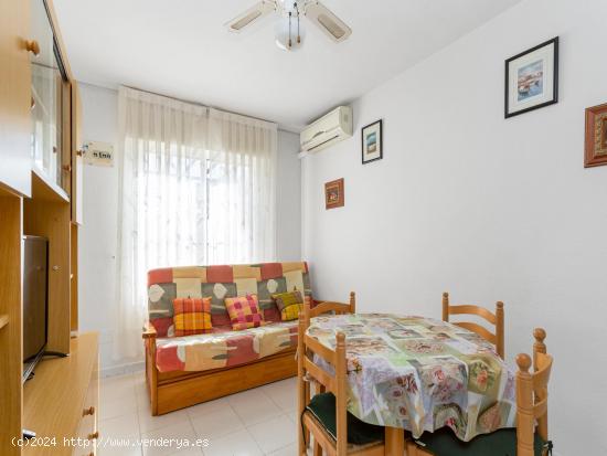 Tu rincón de tranquilidad en Los Balcones, Torrevieja. 1 habitación + 1 baño y terraza de 25m2 SU