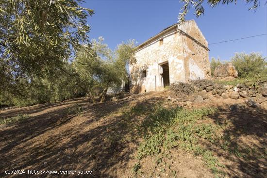 Terreno en Loja - GRANADA