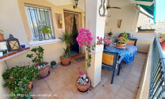 Chalet en venta en Orihuela (Alicante)