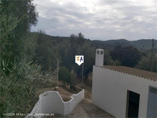 Villa en venta en Villanueva de Algaidas (Málaga)