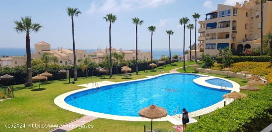  Apartamento en alquiler en Benalmádena (Málaga) 