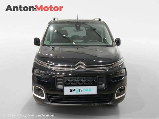 Citroën Berlingo  Talla XL BlueHDi 130 S&S 6v Feel - VITORIA