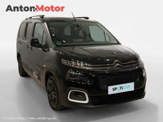 Citroën Berlingo  Talla XL BlueHDi 130 S&S 6v Feel - VITORIA