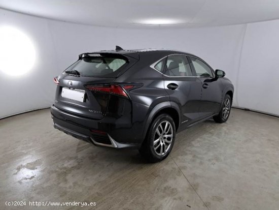 Lexus NX 2.5 300h Executive 4WD - Madrid