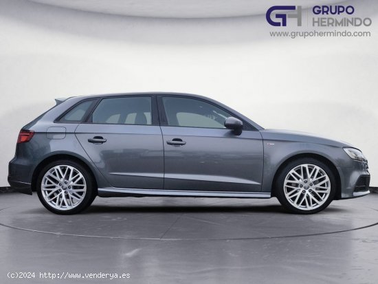 Audi A3 Sportback 1.6 TDI 115 CV DESIGN - Ponteareas