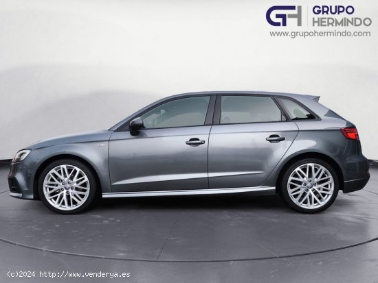 Audi A3 Sportback 1.6 TDI 115 CV DESIGN - Ponteareas