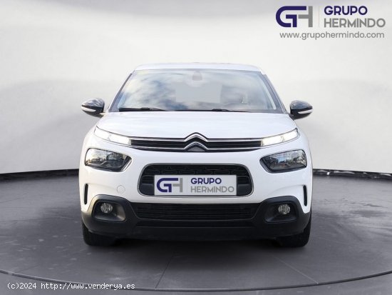 Citroën C4 Cactus BUSINESS BLUE HDI 100 CV - Ponteareas