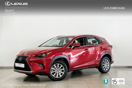  Lexus NX 300H 2WD WG BUSINESS Lexus NX en Galicia: A Coruña, Santiago, Lugo y Pontevedra. - A Coru 