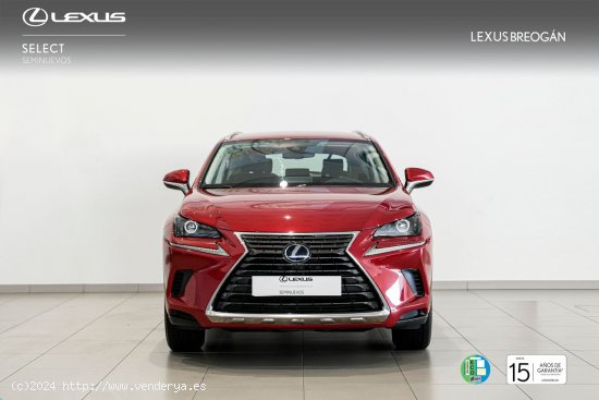 Lexus NX 300H 2WD WG BUSINESS Lexus NX en Galicia: A Coruña, Santiago, Lugo y Pontevedra. - A Coru