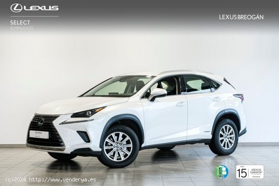  Lexus NX 300H 2WD WG BUSINESS Lexus NX en Galicia: A Coruña, Santiago, Lugo y Pontevedra. - A Coru 