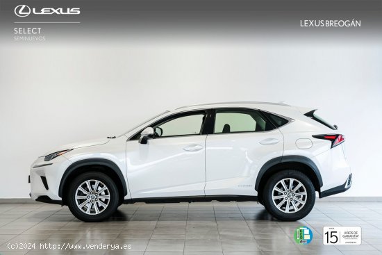 Lexus NX 300H 2WD WG BUSINESS Lexus NX en Galicia: A Coruña, Santiago, Lugo y Pontevedra. - A Coru