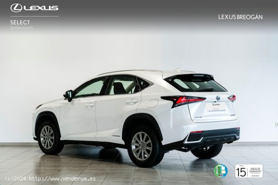 Lexus NX 300H 2WD WG BUSINESS Lexus NX en Galicia: A Coruña, Santiago, Lugo y Pontevedra. - A Coru