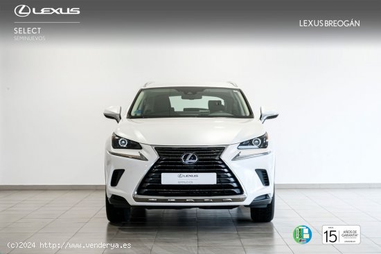 Lexus NX 300H 2WD WG BUSINESS Lexus NX en Galicia: A Coruña, Santiago, Lugo y Pontevedra. - A Coru