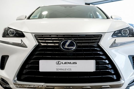 Lexus NX 300H 2WD WG BUSINESS Lexus NX en Galicia: A Coruña, Santiago, Lugo y Pontevedra. - A Coru