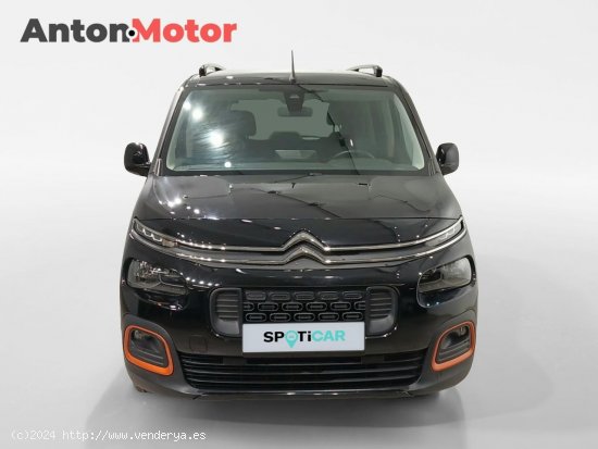 Citroën Berlingo Talla XL BlueHDi 100 S&S SHINE 7 plazas - Álava