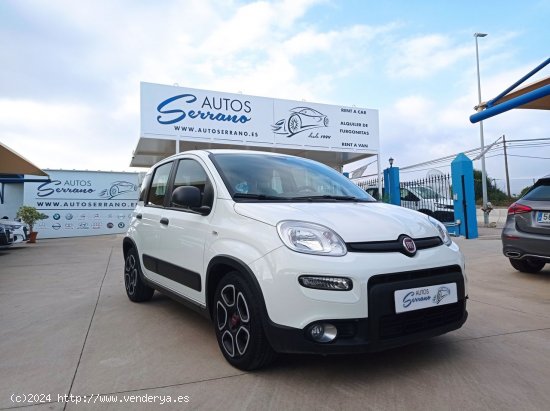  Fiat Panda CITY HYBRID 1.0 GSE 70 CV - Manilva 