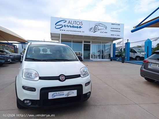 Fiat Panda CITY HYBRID 1.0 GSE 70 CV - Manilva