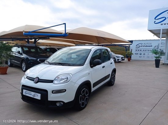 Fiat Panda CITY HYBRID 1.0 GSE 70 CV - Manilva