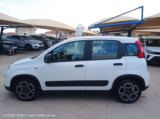 Fiat Panda CITY HYBRID 1.0 GSE 70 CV - Manilva