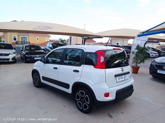 Fiat Panda CITY HYBRID 1.0 GSE 70 CV - Manilva