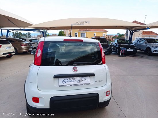 Fiat Panda CITY HYBRID 1.0 GSE 70 CV - Manilva