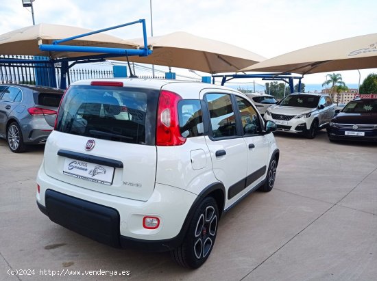 Fiat Panda CITY HYBRID 1.0 GSE 70 CV - Manilva