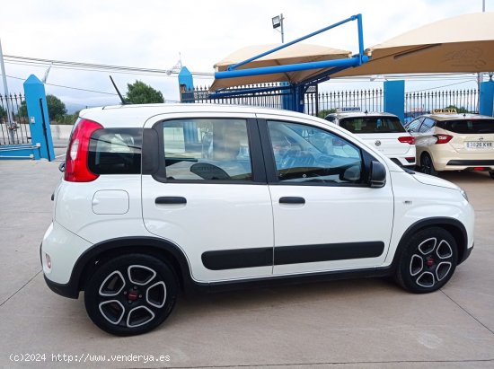 Fiat Panda CITY HYBRID 1.0 GSE 70 CV - Manilva