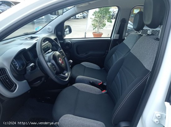 Fiat Panda CITY HYBRID 1.0 GSE 70 CV - Manilva