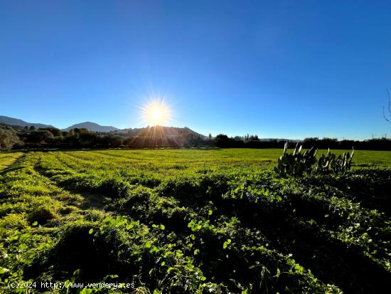 Un rincón de tranquilidad a un paso de Antequera - MALAGA