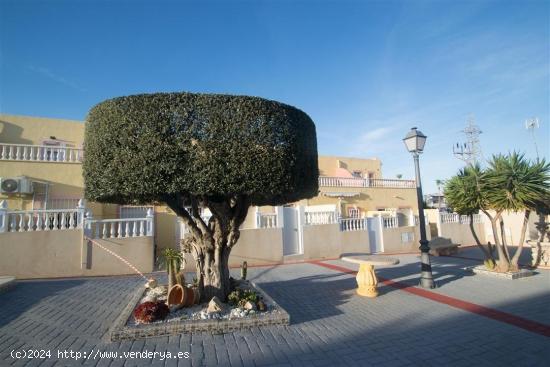 DÚPLEX SEMI-ADOSADO EN VILLAMARTIN - ALICANTE