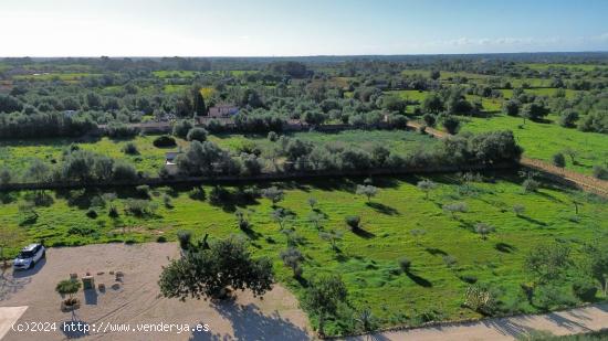 Finca rústica completamente reformada moderna y práctica. - BALEARES