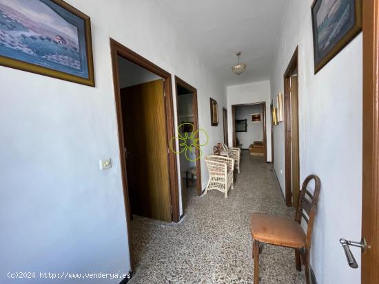 Se Vende en Zurgena - ALMERIA