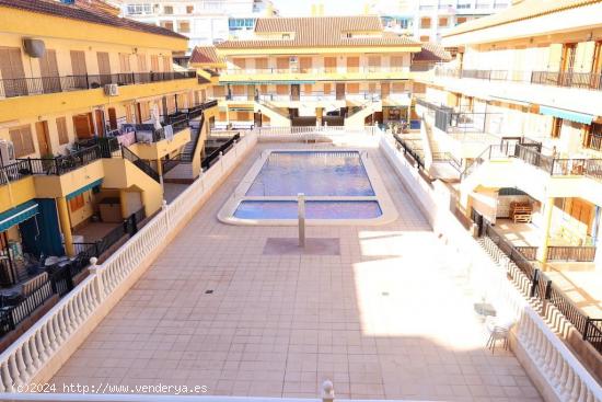  ESTUDIO EN LA MATA FRENTE A LA PISCINA. 35 M2. PLAYA A 150 METROS. - ALICANTE 