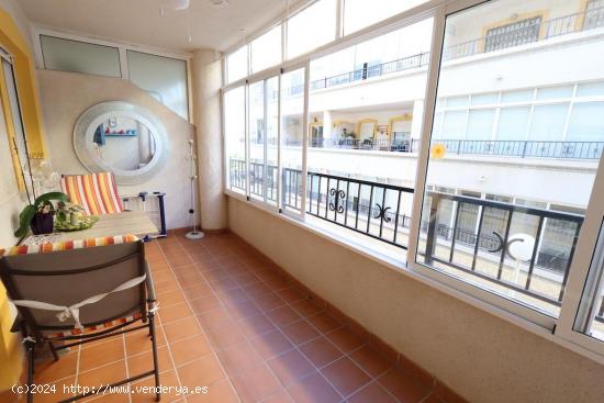 APARTAMENTO EN PLAYA FLAMENCA. 2 DORM. 1 BAÑO. GARAJE+PISCINA. TERRAZA ACRISTALADA. - ALICANTE