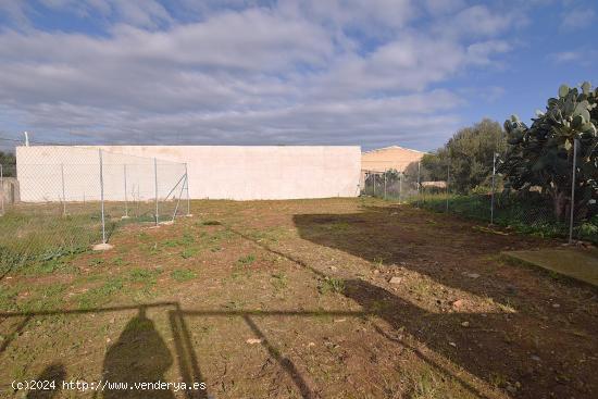 Se vende solar urbano en Muro - BALEARES