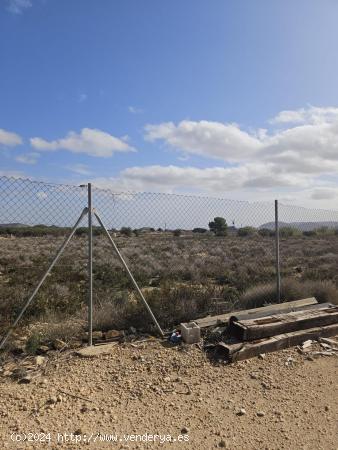 Terreno en Agost - ALICANTE