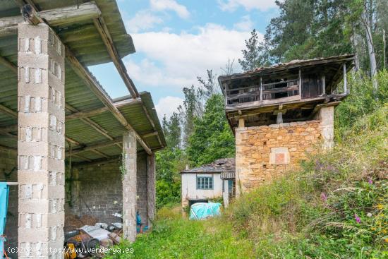 Tu refugio en la naturaleza: un paraíso con vistas para transformar en tu hogar - ASTURIAS