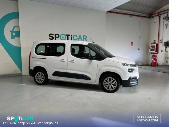 Citroën Berlingo  Talla M ë-Berlingo 50 kWh Feel - Oleiros