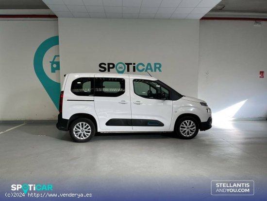 Citroën Berlingo  Talla M ë-Berlingo 50 kWh Feel - Oleiros