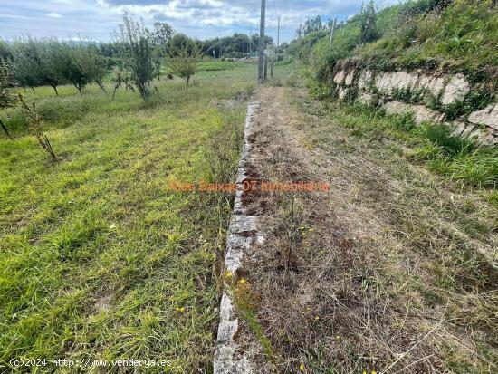 REF 4178 TERRENO RÚSTICO 1181m2 TAMEIGA ( MOS ) - PONTEVEDRA