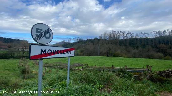  TERRENO RÚSTICO EN ROIZ - CANTABRIA 