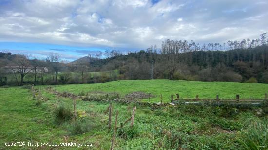 TERRENO RÚSTICO EN ROIZ - CANTABRIA