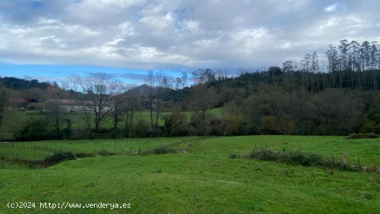 TERRENO RÚSTICO EN ROIZ - CANTABRIA