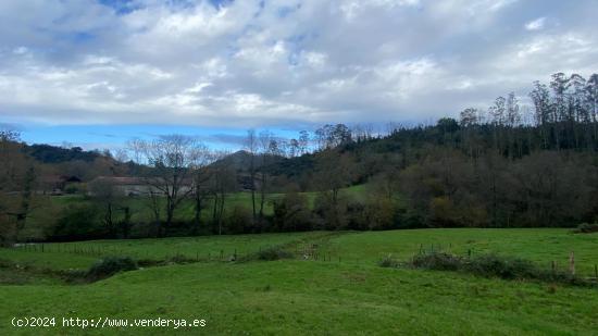 TERRENO RÚSTICO EN ROIZ - CANTABRIA